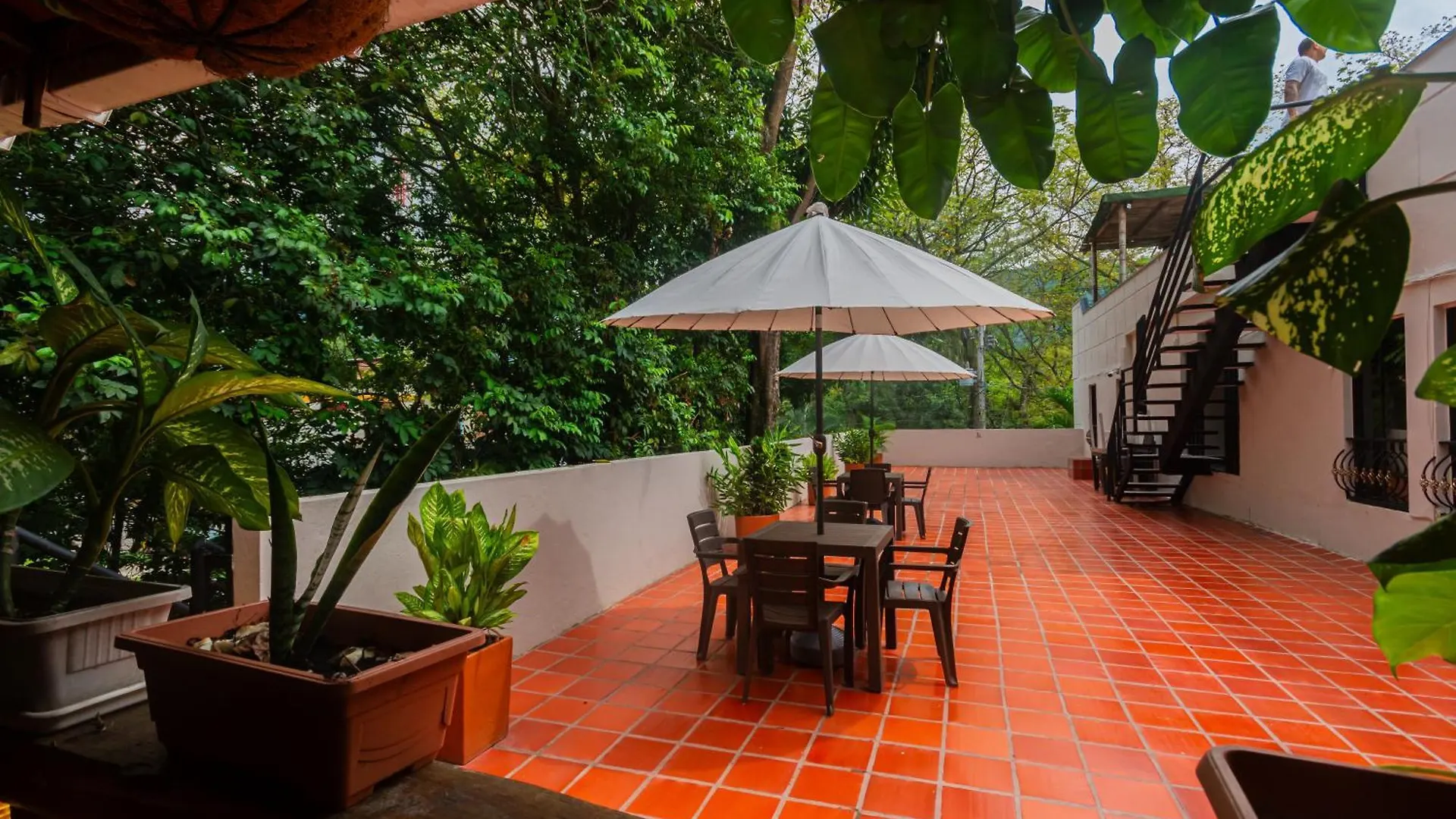 ***  Hotel Tropical San Jeronimo Colombia